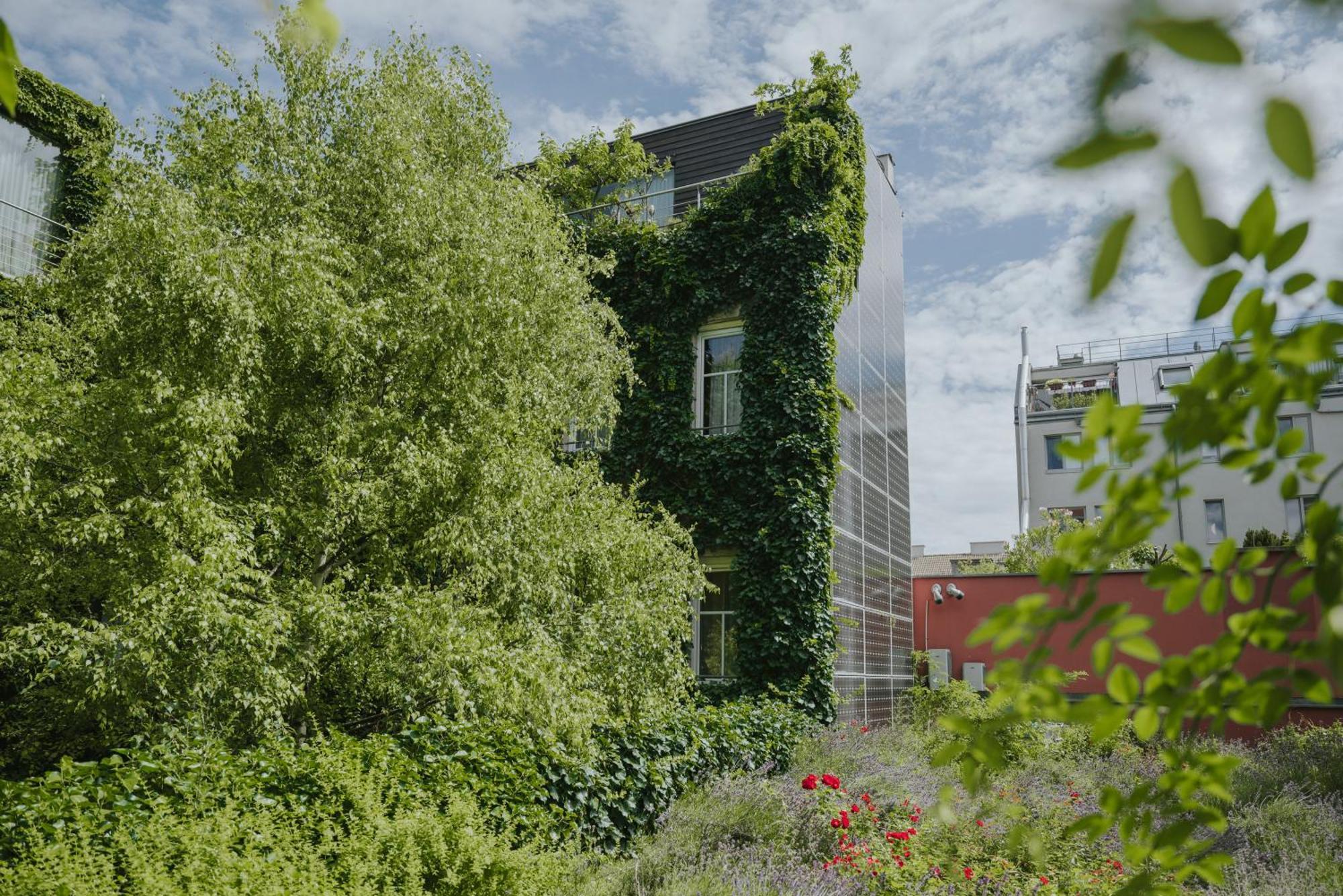 Boutiquehotel Stadthalle Viena Exterior foto